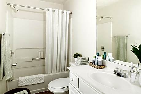 Queen Studio with Sofa Bed - Non-Smoking