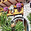 Hotel Al Viel B&B