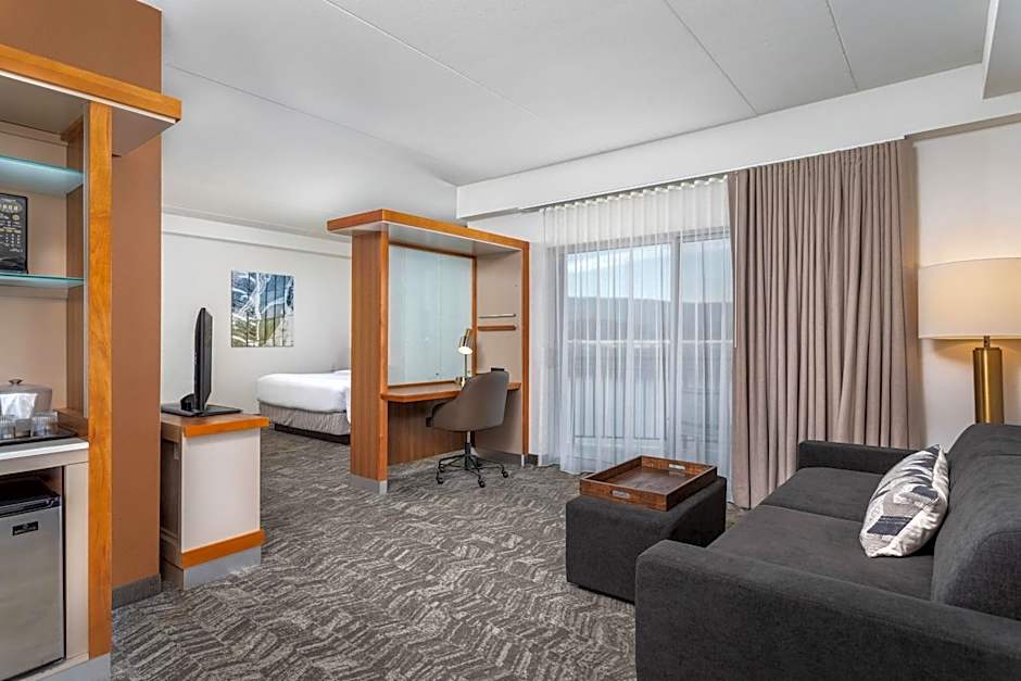 SpringHill Suites by Marriott Chattanooga Downtown/Cameron Harbor