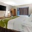 Quality Inn Downtown - near Market Square