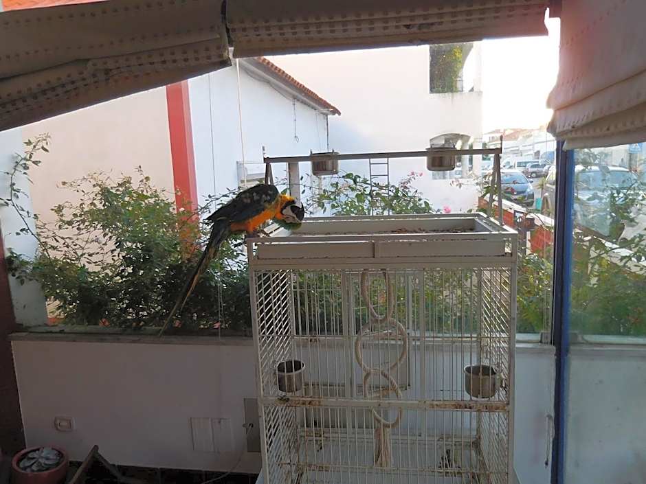 Hotel Mar e Sol VNMF by Umbral