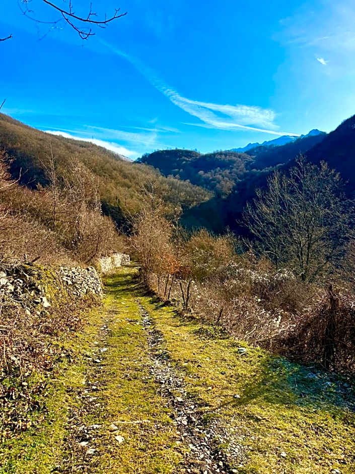 Viandanti, Artisti e Sognatori