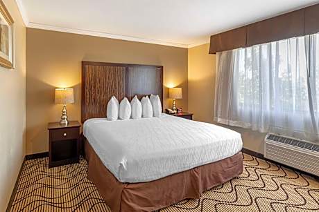 Executive King Suite