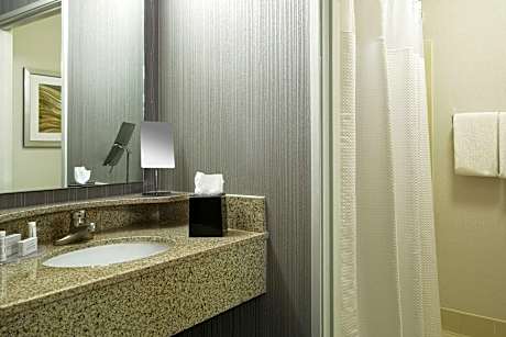 1 Bedroom Larger Suite, 1 King, Sofa bed