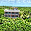 BLISS Apartments Holbox