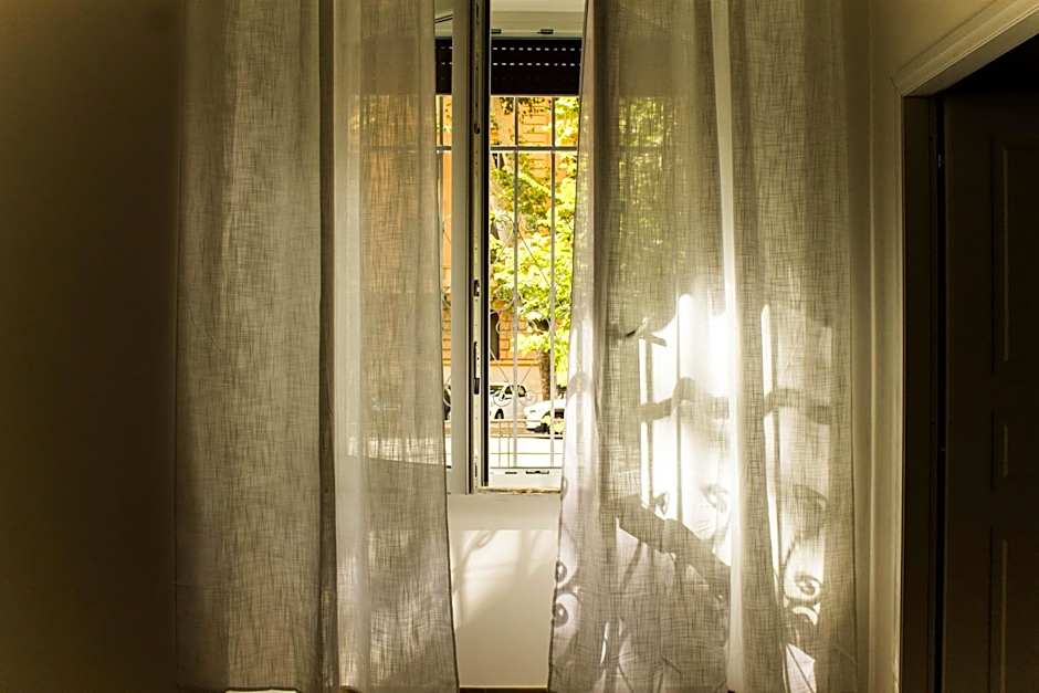 Daffodil in Roma San Pietro