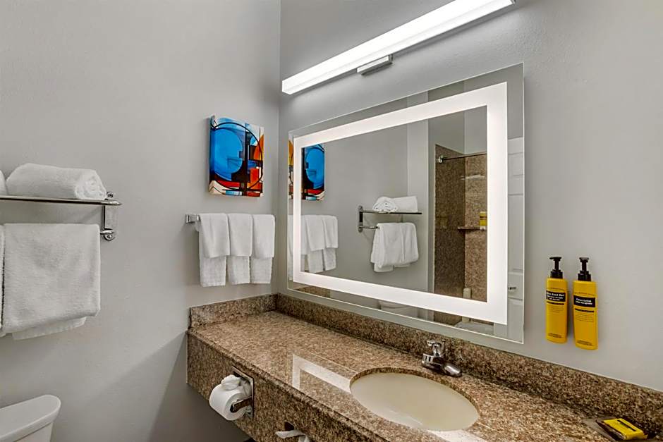 Best Western Plus New Caney Inn & Suites
