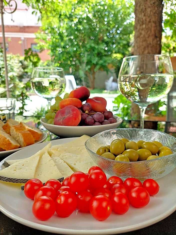 N1 Casa de Madrid - greenpeace line