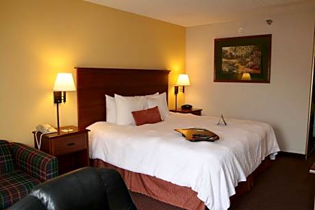 1 King Bed Study Nonsmok