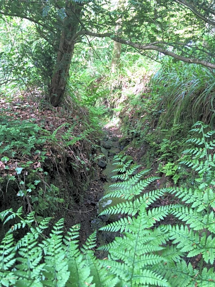 O'Harabrook Country House