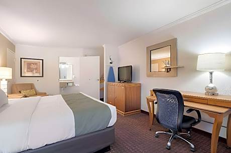 1 King Bed Suite Nonsmoking Upgrade