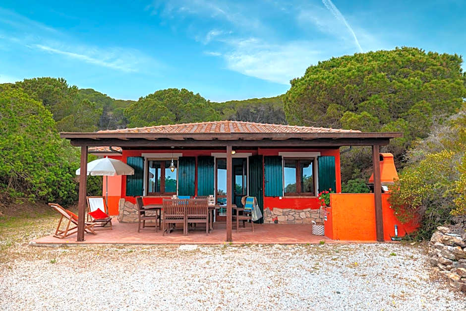 Tenuta Delle Ripalte