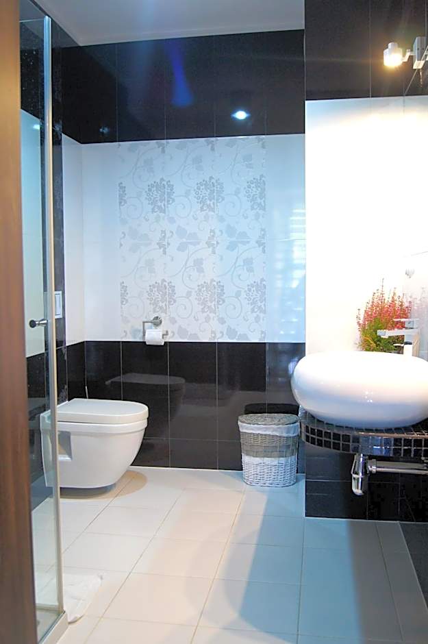 Saskia Dwór & Spa Willa z basenem