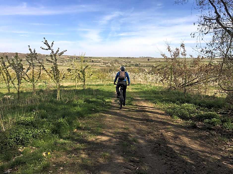 Bengel's Hotel zur Krone