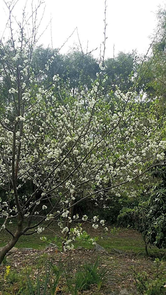 untagged