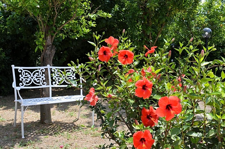 Baia Della Serenita – Piano di Sorrento, CO