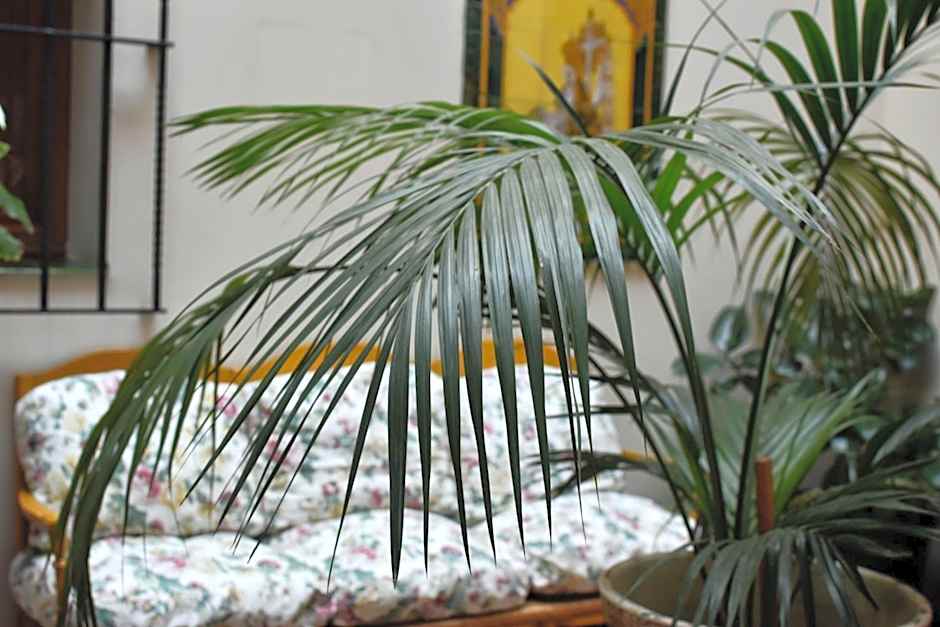 Hotel Convento La Gloria