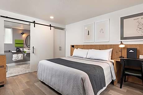 King Room with Roll-In Shower - Disability Access