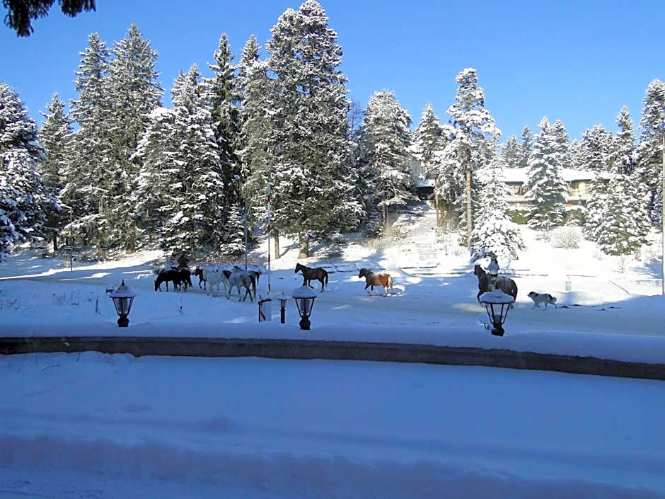 Apartments Flora-Daisy