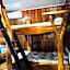 Hotel La Isla Inn