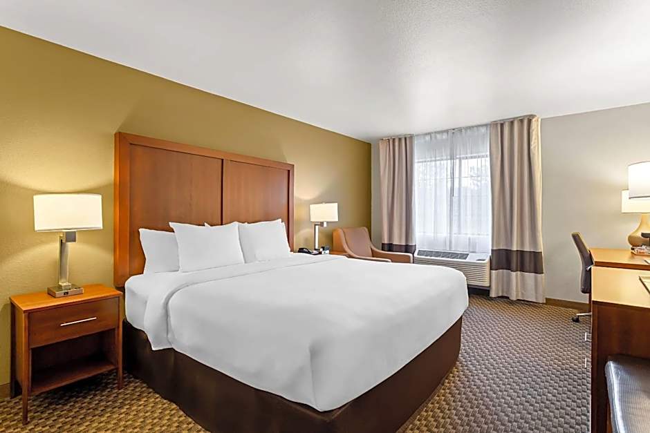 Comfort Inn & Suites Midtown