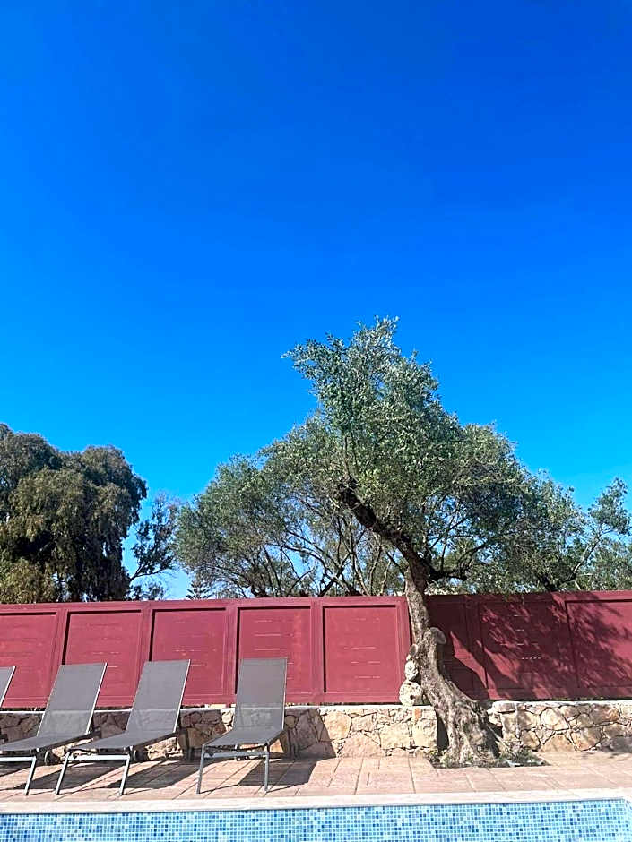 Nissi Collection Rooms