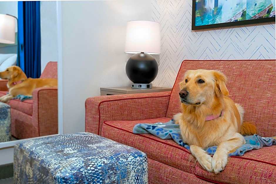 Home2 Suites By Hilton Buffalo Airport/Galleria Mall