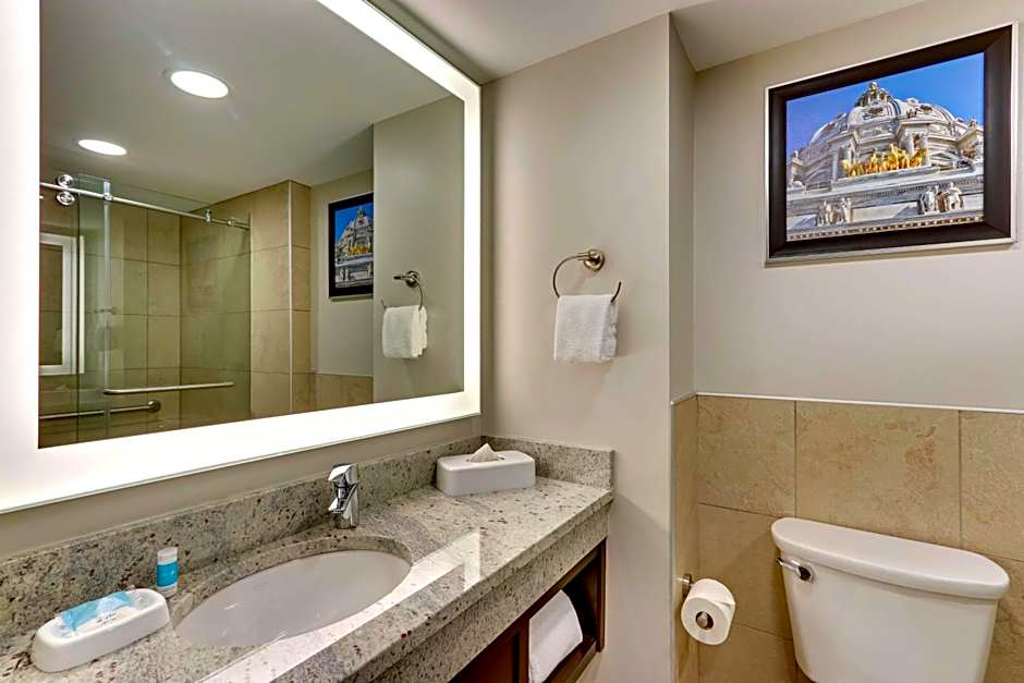Drury Plaza Hotel St. Paul Downtown
