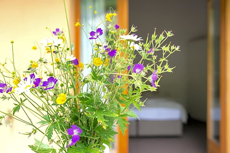 MyVerzasca Boutique Hotel