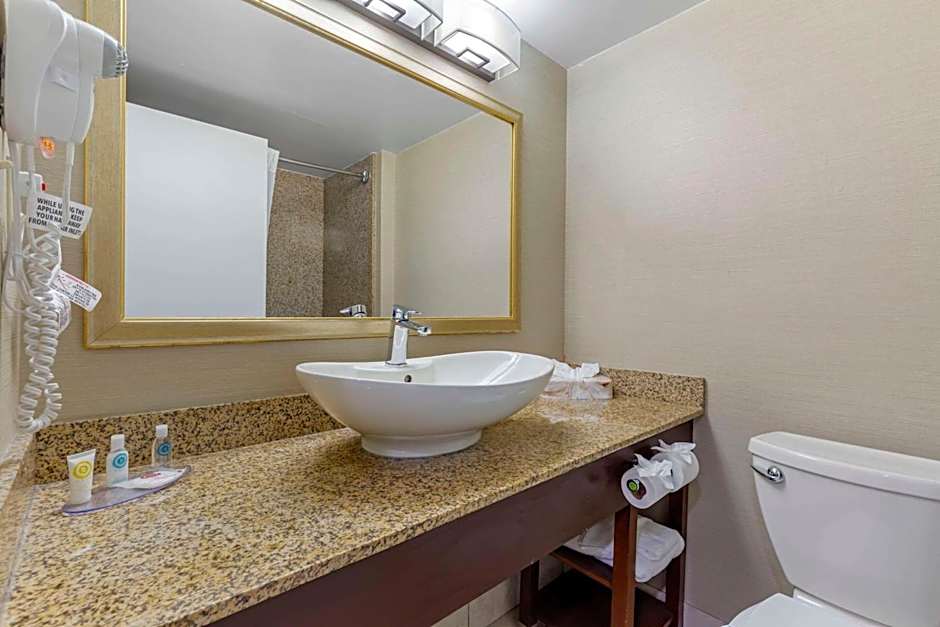 Comfort Inn Herndon-Reston