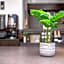 Hotel Wing International Shonan-Fujisawa