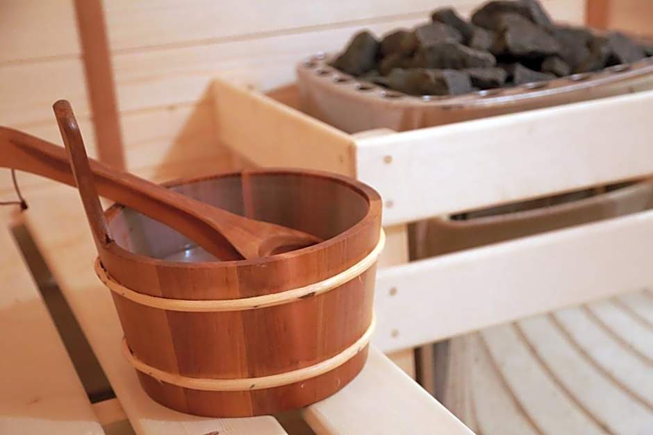 Hotel Muresul Health Spa