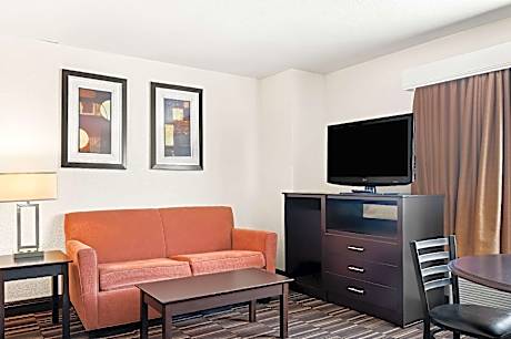 Suite-1 King Bed, Non-Smoking, Jetted Tub, Sofa, Microwave And Refrigerator, Wet Bar, Continental Br