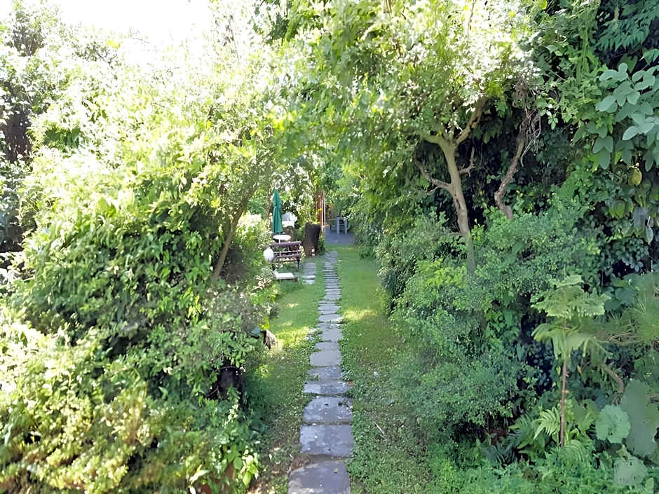 Dreaming Forest Pension