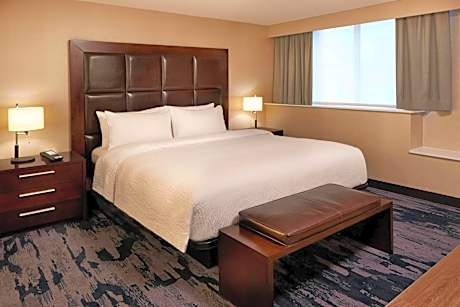 Executive Suite, 1 King, Sofa bed