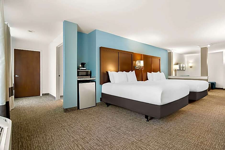 Comfort Suites Rensselaer near Fair Oaks