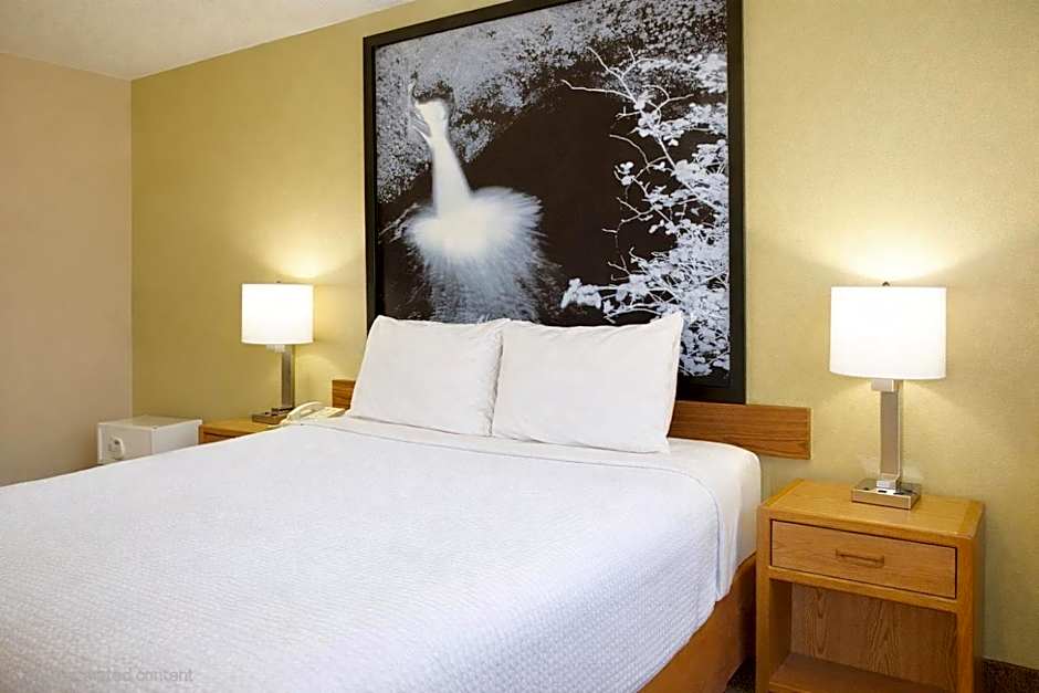 Super 8 by Wyndham Antigo