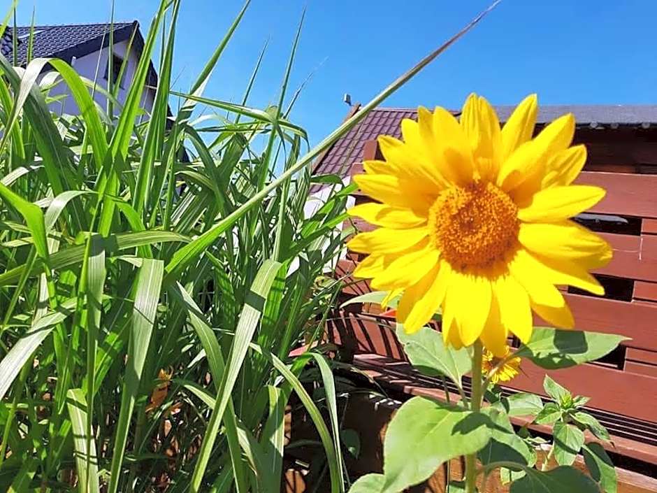 Domki BLANKA Jastarnia