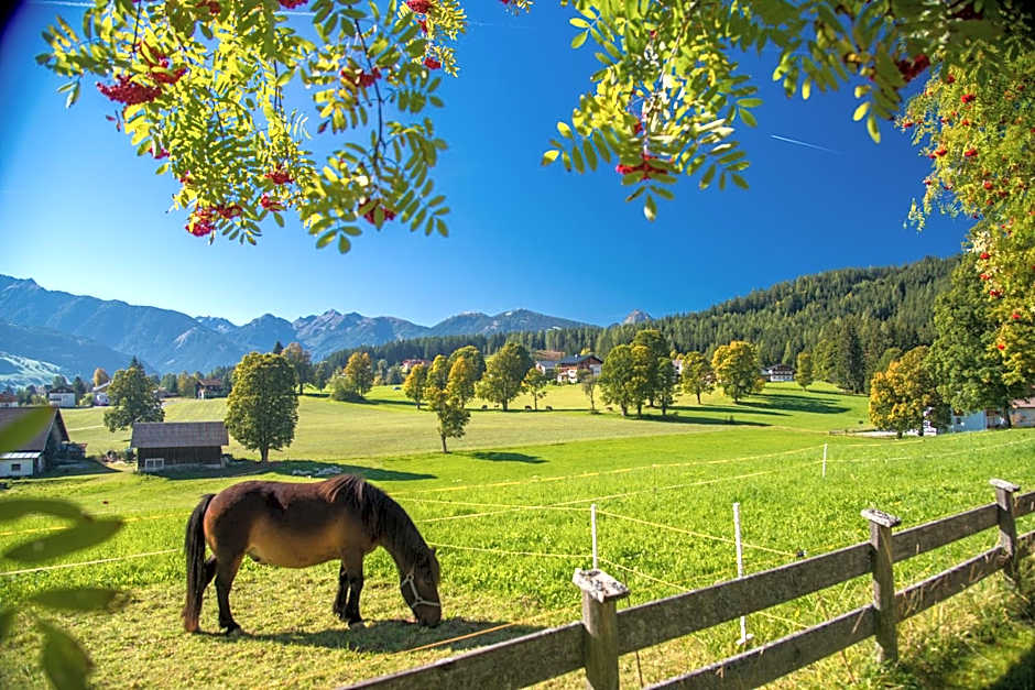Almfrieden Hotel & Romantikchalet