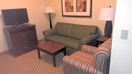 One-Bedroom King Suite with Sofa Bed