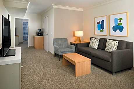 One-Bedroom King Suite with Sofa Bed