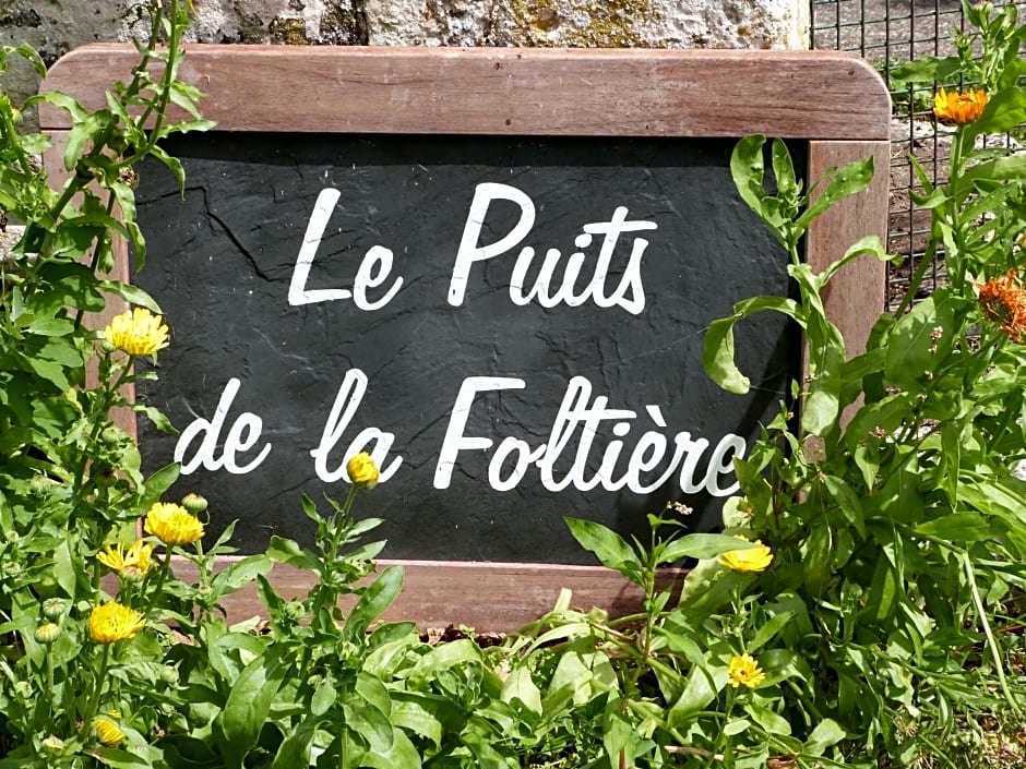 Le Puits de la Foltière