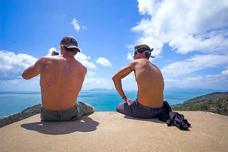 Koala Park by Bounce