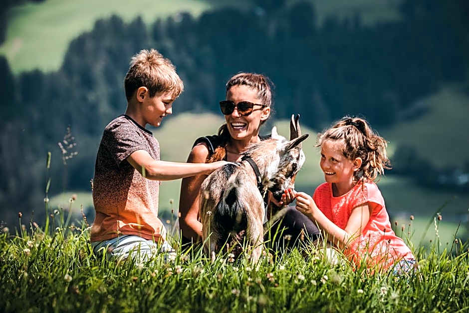 Mountainview Apartments