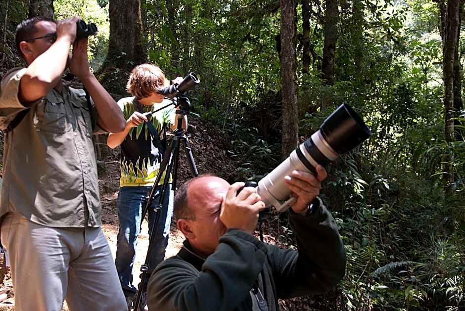 Dantica Cloud Forest Lodge