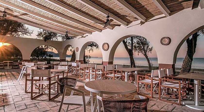 Domes Aulus Zante, Autograph Collection