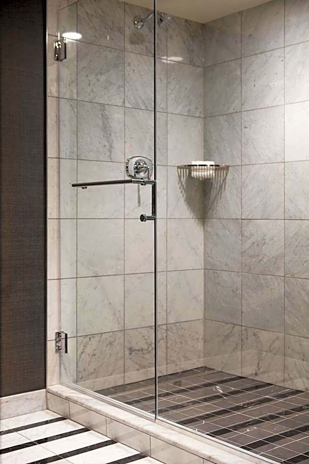 Viceroy Washington DC