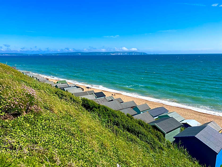 Forest & Beach Escape