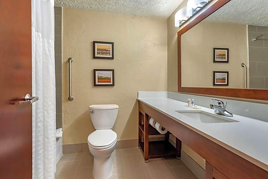Comfort Inn Madison
