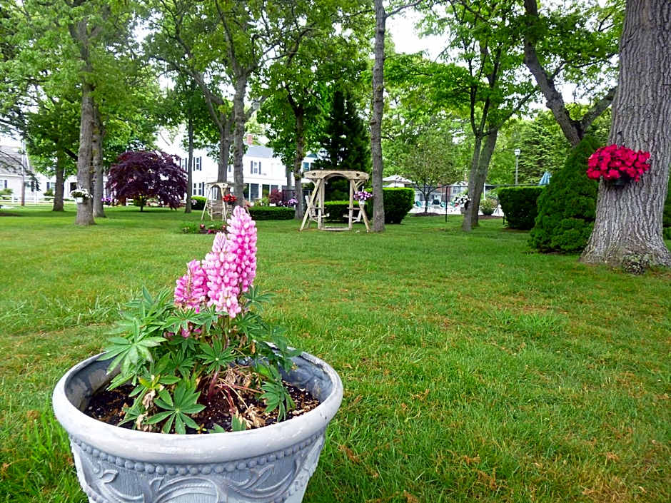 Falmouth Heights Motor Lodge